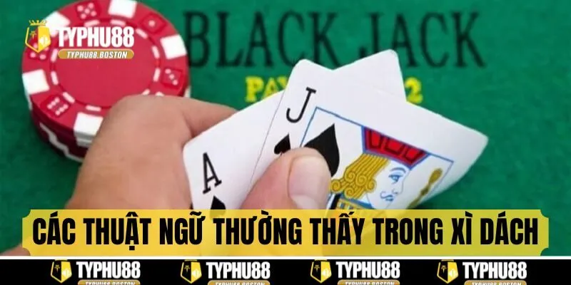 Các thuật ngữ xì dách là gì