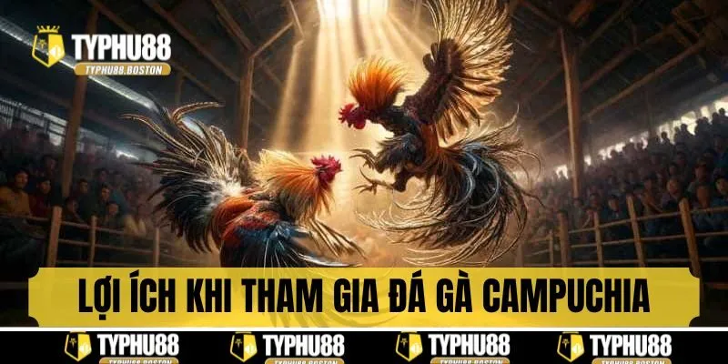 Lợi ích khi tham gia chọi gà Campuchia tại nhà cái