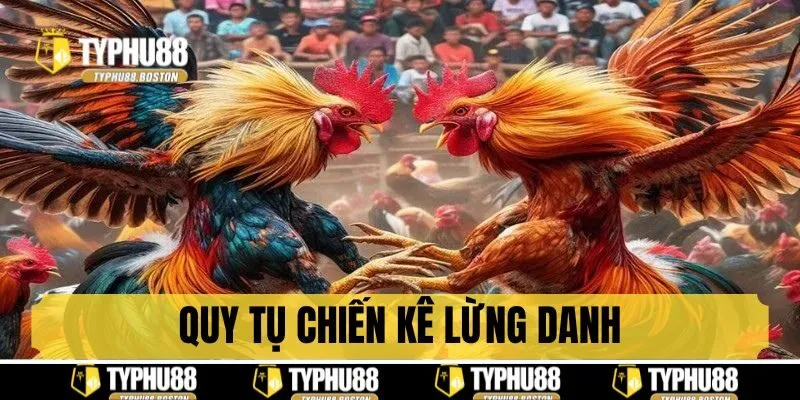 Quy tụ chiến kê lừng danh