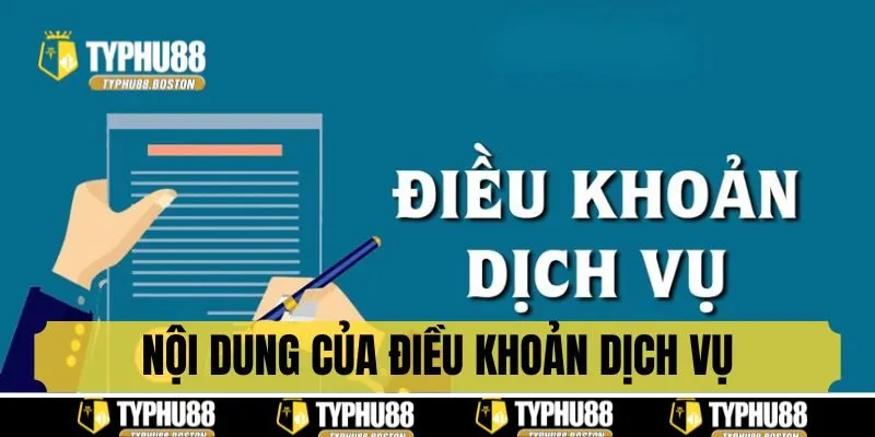 Tổng hợp nội dung trong điều khoản dịch vụ Typhu88