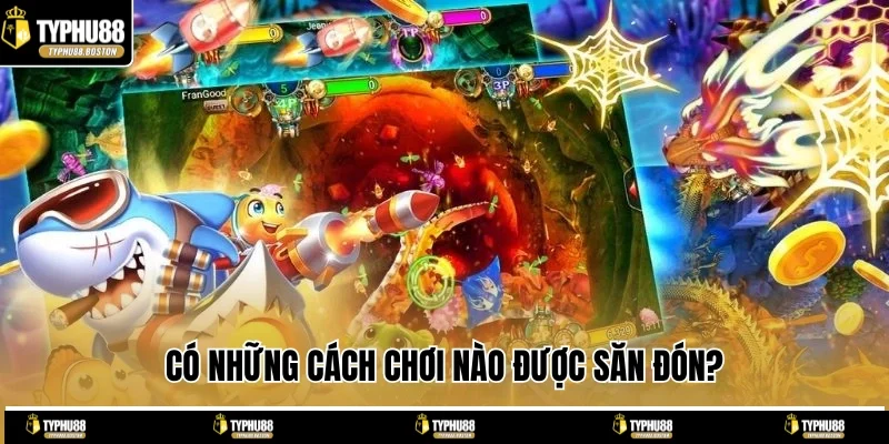 Có những cách chơi nào được săn đón?