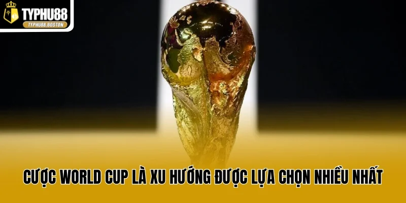 Cược World Cup là xu hướng được lựa chọn nhiều nhất